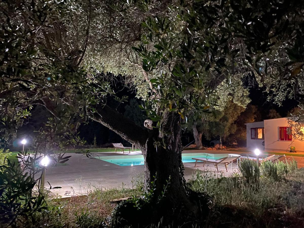 Bed and Breakfast Le Radici Monopoli Exterior foto